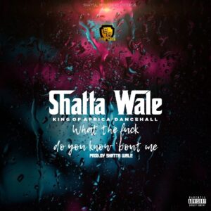 Shatta Wale – What Do You Know About Me