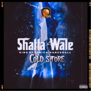 Shatta Wale – Cold Store