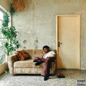 Bella Shmurda – Pain