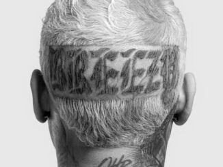 Chris Brown Possessive ft Lil Wayne Yung Bleu 1